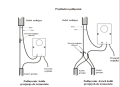 Instrukcja f200.png